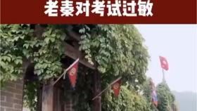 国产秦先生